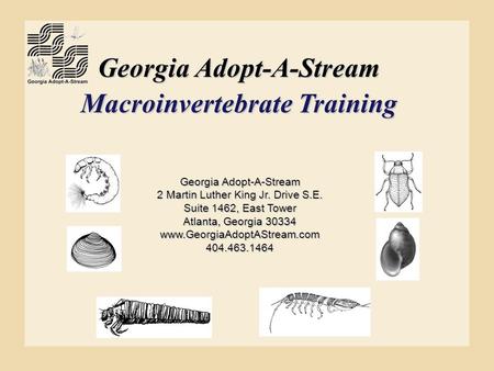 Georgia Adopt-A-Stream Macroinvertebrate Training