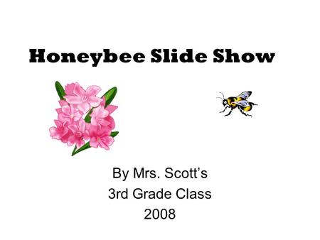 Honeybee Slide Show By Mrs. Scott’s 3rd Grade Class 2008.