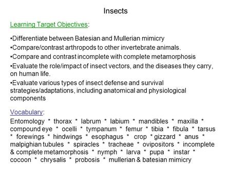 Insects Learning Target Objectives: