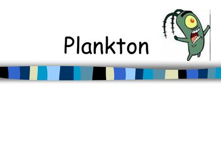 Plankton What is Plankton? Animals and plants that either float passively in the water, or possess such limited powers of swimming that they are carried.