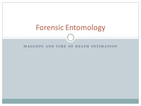 Maggots and Time of Death Estimation