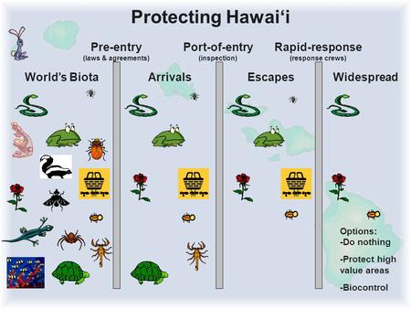 Pre-entry (laws & agreements) Port-of-entry (inspection) Rapid-response (response crews) Protecting Hawai‘i World’s BiotaArrivalsEscapes Options: -Do nothing.
