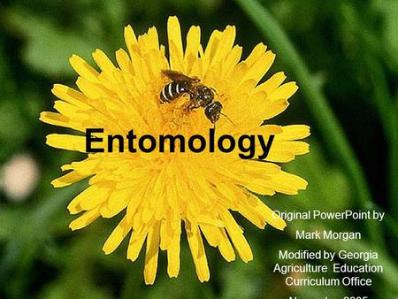 Entomology Original PowerPoint by Mark Morgan Modified by Georgia Agriculture Education Curriculum Office November 2005.