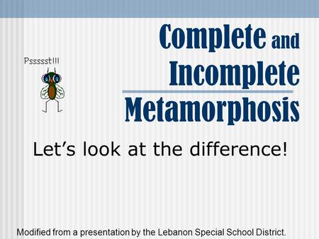 Complete and Incomplete Metamorphosis