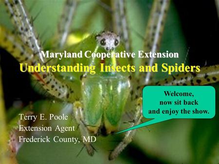 Maryland Cooperative Extension Understanding Insects and Spiders Terry E. Poole Extension Agent Frederick County, MD Welcome, now sit back and enjoy the.