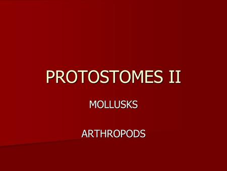 PROTOSTOMES II MOLLUSKSARTHROPODS. MOLLUSKS Clams, snails, slugs, chitons, octopuses Clams, snails, slugs, chitons, octopuses Probably evolved early—after.