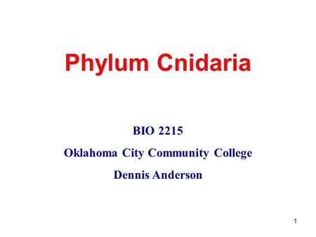 1 Phylum Cnidaria BIO 2215 Oklahoma City Community College Dennis Anderson.
