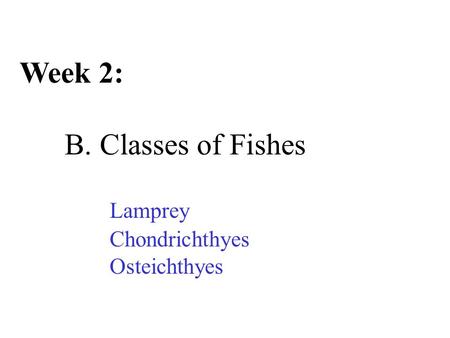 Week 2: B. Classes of Fishes Lamprey Chondrichthyes Osteichthyes.