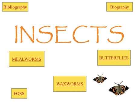 INSECTS WAXWORMS BUTTERFLIES BibliographyBiography FOSS MEALWORMS.
