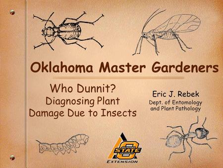 Oklahoma Master Gardeners Eric J. Rebek Dept. of Entomology and Plant Pathology Who Dunnit? Diagnosing Plant Damage Due to Insects.