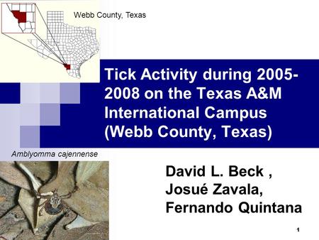 1 Tick Activity during 2005- 2008 on the Texas A&M International Campus (Webb County, Texas) David L. Beck, Josué Zavala, Fernando Quintana Webb County,