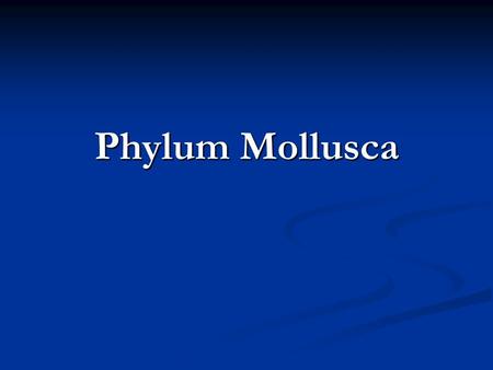 Phylum Mollusca Fig. 16.CO.