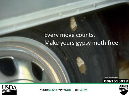 YOURMOVEGYPSYMOTHFREE.COM Every move counts. Make yours gypsy moth free. Photo by Rusty Haskell.