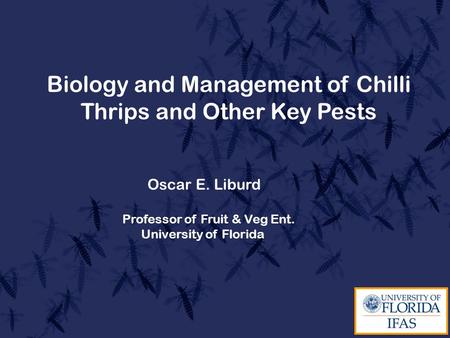 Biology and Management of Chilli Thrips and Other Key Pests Oscar E. Liburd Professor of Fruit & Veg Ent. University of Florida.