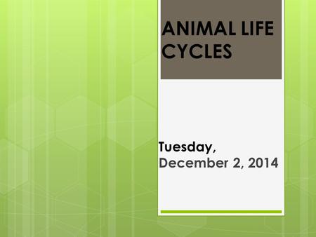 ANIMAL LIFE CYCLES Tuesday, December 2, 2014. Objectives  ELA: I can identify vocabulary words.  Exceeding: I can listen to a story and answer comprehension.
