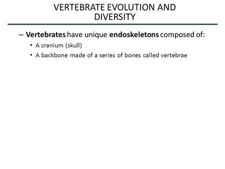 VERTEBRATE EVOLUTION AND DIVERSITY – Vertebrates have unique endoskeletons composed of: A cranium (skull) A backbone made of a series of bones called vertebrae.