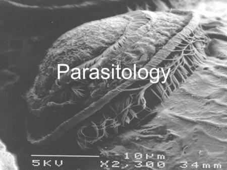 Parasitology.