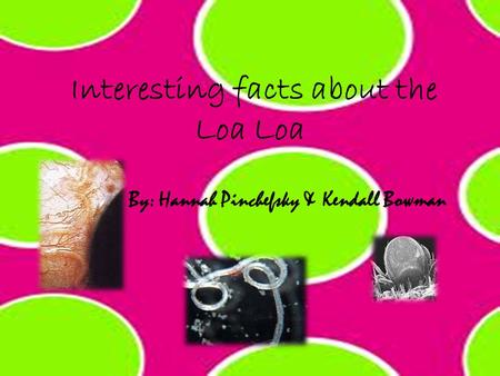 Interesting facts about the Loa Loa By: Hannah Pinchefsky & Kendall Bowman.