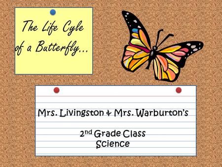 The Life Cyle of a Butterfly… Mrs. Livingston & Mrs. Warburton’s 2 nd Grade Class Science.