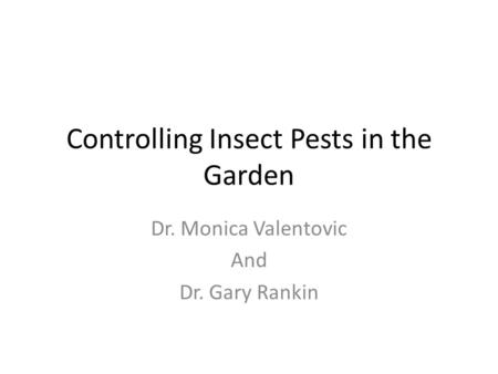 Controlling Insect Pests in the Garden