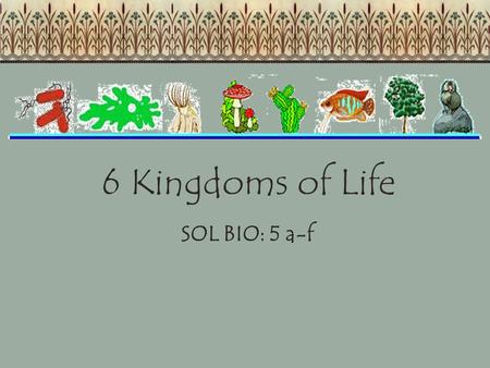 6 Kingdoms of Life SOL BIO: 5 a-f. The student will investigate and understand life functions of archaebacteria, monerans (eubacteria), protists, fungi,