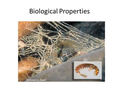 Biological Properties. Biological attributes of a waterway can be important indicators of water quality. Biological attributes refer to the number and.