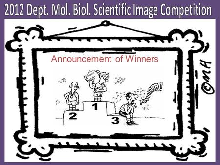Announcement of Winners. Lucie Jonatova (Dolezal Lab) Brain, lymph gland lobe, ring gland and imaginal discs of Drosophila third instar larva are in figure.
