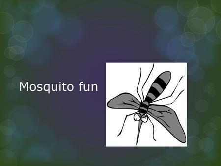 Mosquito fun.