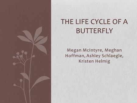 Megan McIntyre, Meghan Hoffman, Ashley Schlaegle, Kristen Helmig THE LIFE CYCLE OF A BUTTERFLY.