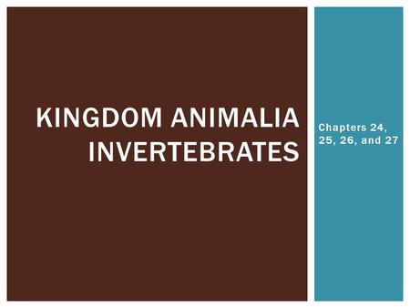 Kingdom animalia Invertebrates