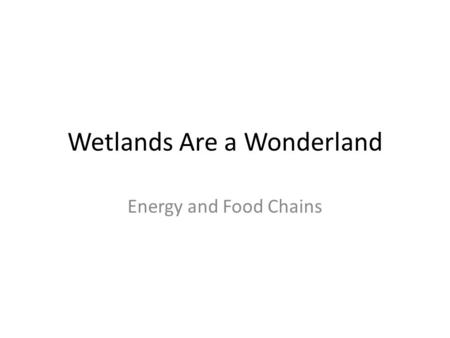 Wetlands Are a Wonderland Energy and Food Chains.
