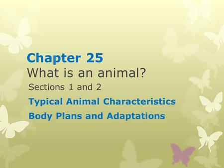 Chapter 25 What is an animal?