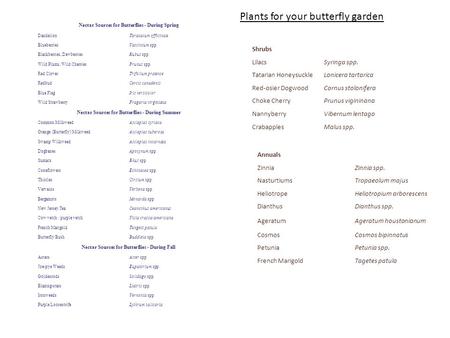 Nectar Sources for Butterflies - During Spring DandelionTaraxacum officinale BlueberriesVaccinium spp. Blackberries, DewberriesRubus spp. Wild Plums, Wild.