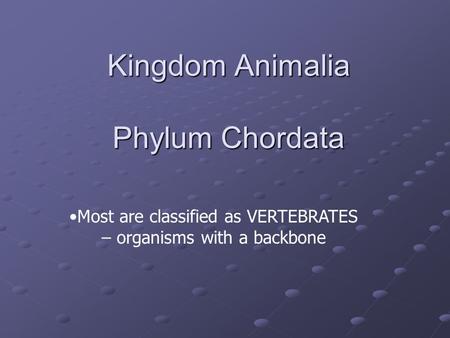 Kingdom Animalia Phylum Chordata
