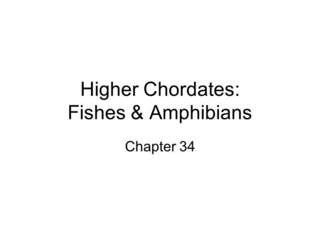 Higher Chordates: Fishes & Amphibians