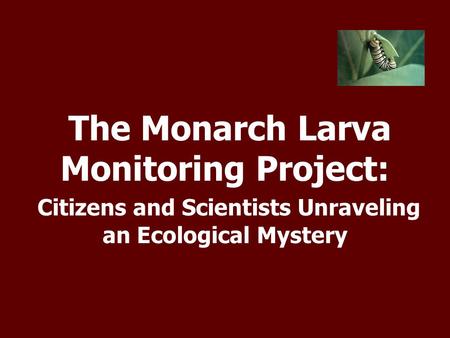 The Monarch Larva Monitoring Project: Citizens and Scientists Unraveling an Ecological Mystery.