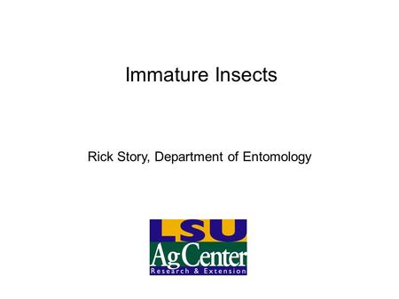 Immature Insects Rick Story, Department of Entomology.