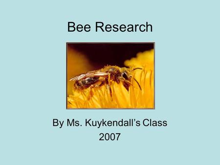 Bee Research By Ms. Kuykendall’s Class 2007. Honeybees and Honey Honeybees make honey so they have food to eat.