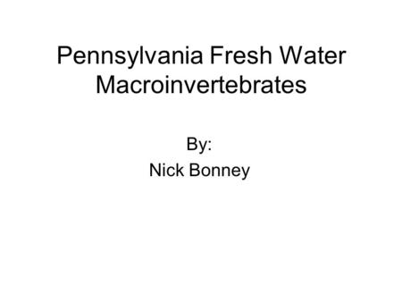 Pennsylvania Fresh Water Macroinvertebrates