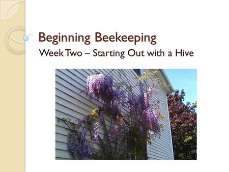Beginning Beekeeping Week Two – Starting Out with a Hive.