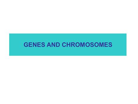 GENES AND CHROMOSOMES.