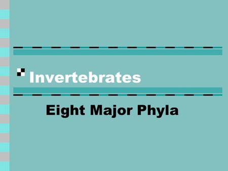 Invertebrates Eight Major Phyla.