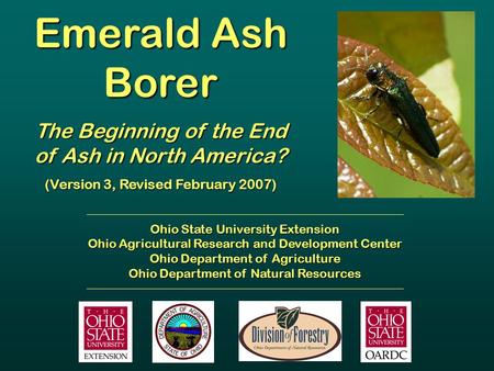Emerald Ash Borer The Beginning of the End of Ash in North America? (Version 3, Revised February 2007) Ohio State University Extension Ohio Agricultural.