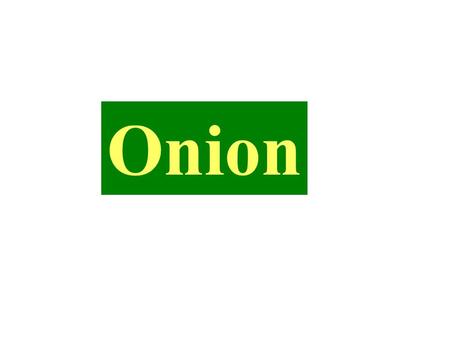 Onion.  The bulb group consists of a wide range of under ground vegetables like onion, garlic, leek, chives and shallot etc.  Onion and garlic are the.