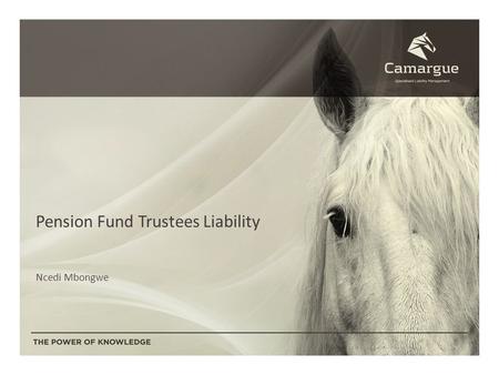 Pension Fund Trustees Liability Ncedi Mbongwe. Introduction to Camargue Underwriting Managers Established in 2001 Underwriters: Mutual and Federal and.