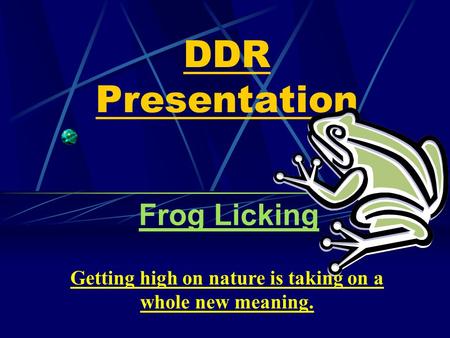 DDR Presentation Frog Licking Getting high on nature is taking on a whole new meaning.