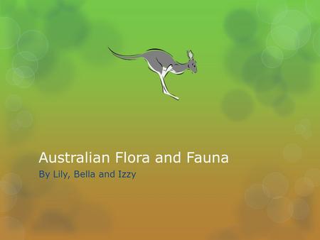 Australian Flora and Fauna By Lily, Bella and Izzy.