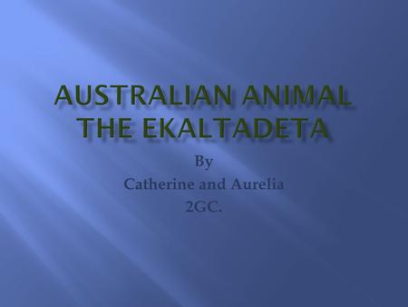 By Catherine and Aurelia 2GC.. The Ekaltladeta is a giant meat-eating rat- kangaroo marsupial (pouched mammal).
