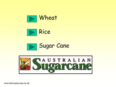 Www.ks1resources.co.uk Wheat Rice Sugar Cane. www.ks1resources.co.uk More than half of the land in Australia is owned by farmers. They produce nearly.
