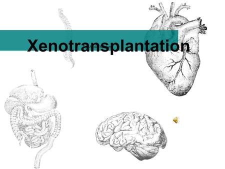 Xenotransplantation By: Alicia Skinner What is Xenotransplantation? the transplantation of cells, tissues or organs from animals to humans Cell Therapies.